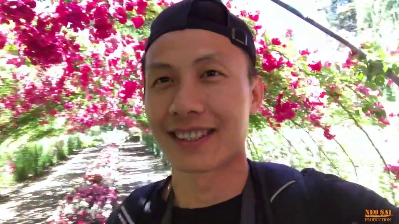 Oregon to Washington SEE/EAT/DO ep. 10/11 Travel Videos