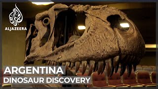 Argentina dinosaur: New giant carnivorous species unveiled