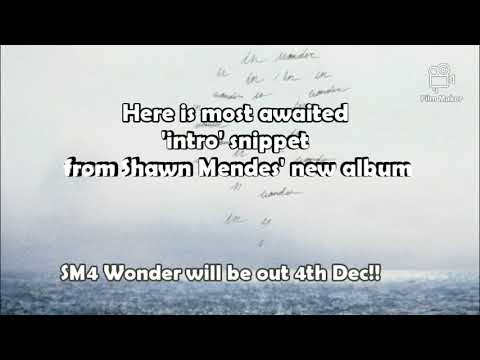 Shawn Mendes - intro (Wonder Trailer)  Lyrics
