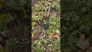 Ratchet Guy Line Tighten & Release Instantly