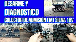 Análisis y desarme del colector de admisión Fiat Siena 1.3L 16V by TALLER JAJI 236 views 2 months ago 10 minutes, 1 second