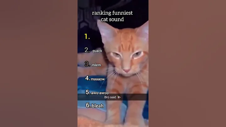 Video 8402391: cats pets catlover funny, cat pets sound funny, sounds cats funniest