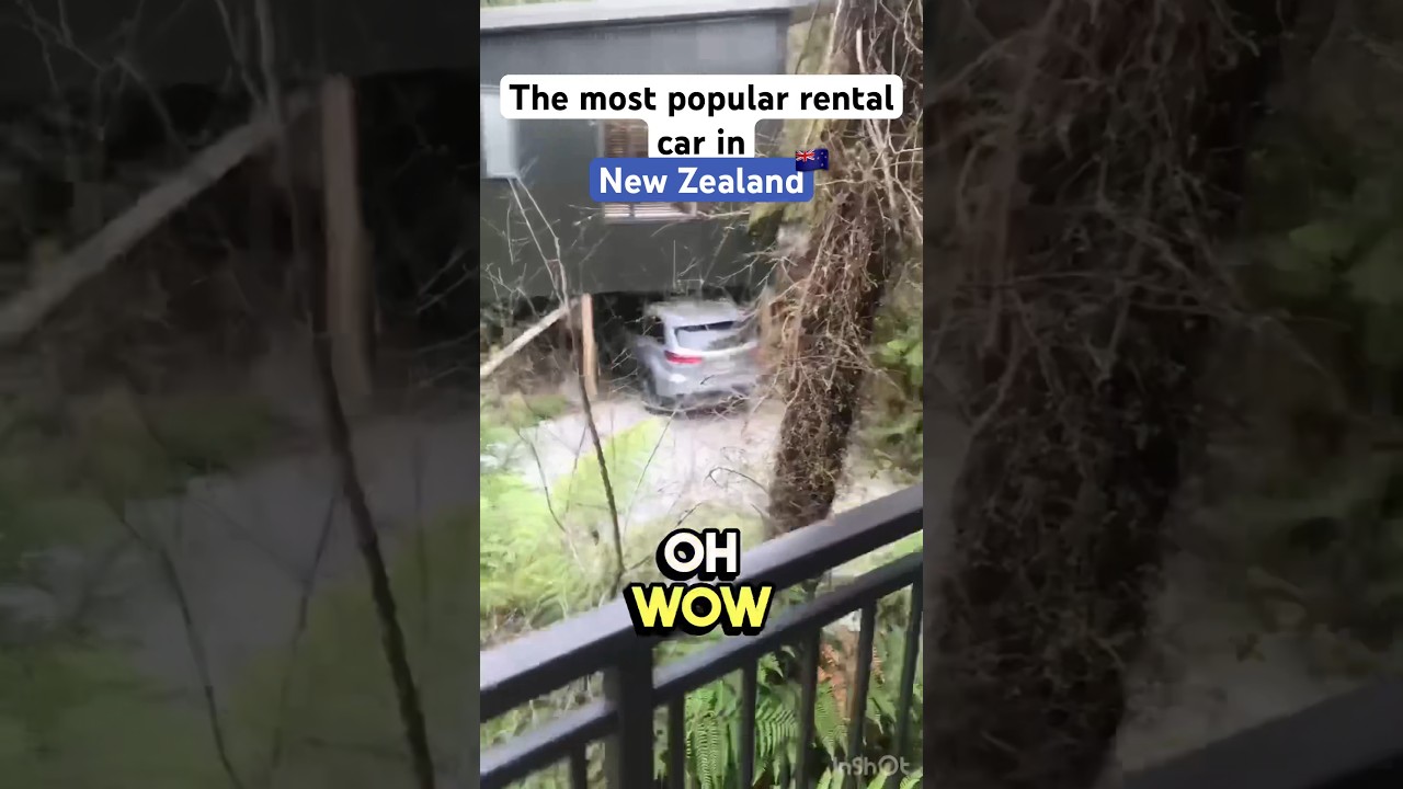 Most popular rental car in New Zealand 🇳🇿