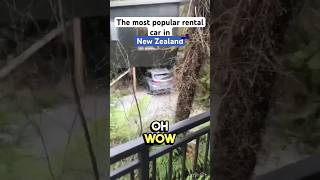 Most popular rental car in New Zealand 🇳🇿