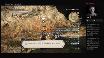 I am playing Final Fantasy XIV online (Quest It