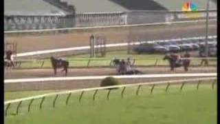 Eight Belles FALLING DOWN in Kentucky Derby 134