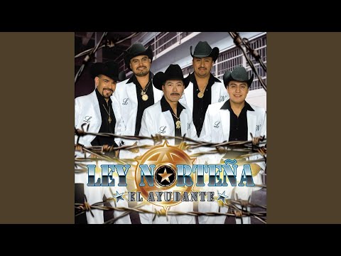 Te Traigo Estas