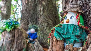 5 Consigli Per Non Lasciare Tracce Durante Unescursione -