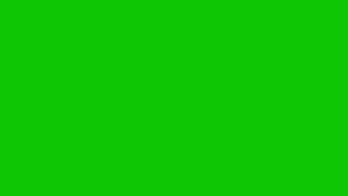 12 Hour Green Screen 4k 3240x2160 Silence No Sound #00aa00