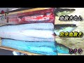 うなぎの心臓にカテーテルを入れて完全血抜き・味付けする動画