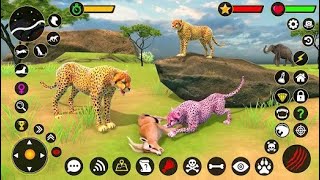 WILD CHEETAH SIM: ANIMAL GAME ANDRIOD GAMEPLAY  screenshot 5