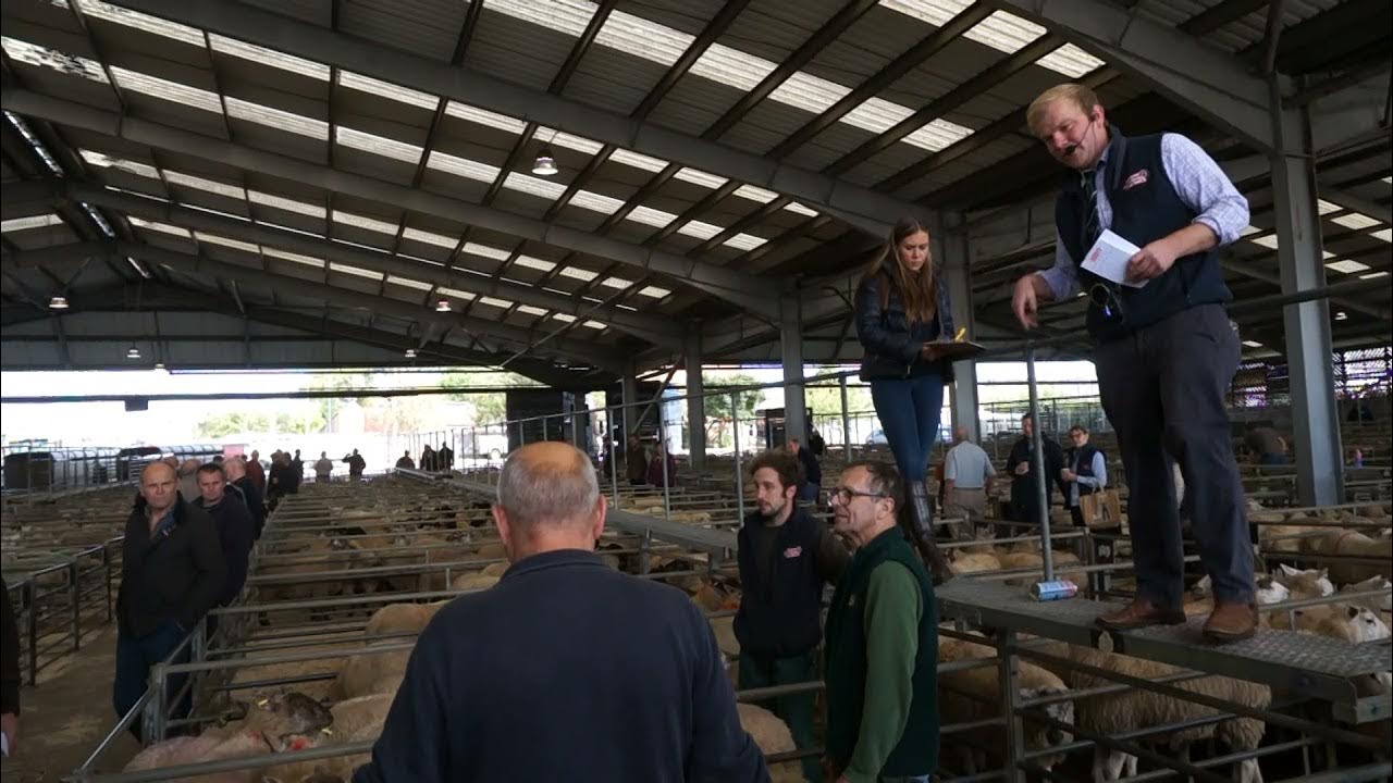 Melton Mowbray auction YouTube