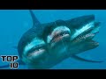 Top 10 Mutated Species That Are Terrifying The Science Community