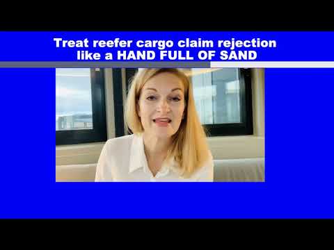 Data logger  and cargo damage. - video from Recoupex