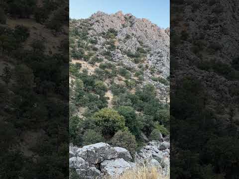 الان کلی آدم میاد فوش میده ولی بخدا بچه ها هیچ جا برای عشق و حال و گردش ایران نمیشه بپرسید تا بگم