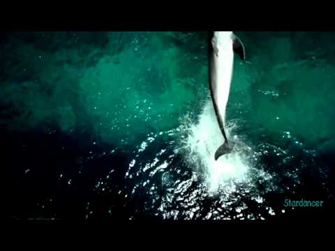 B~Tribe-Hablando