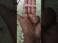 ek tha raja🙏👏💯#shorts#shortsfeed#viral#viralvideo#trending#seett lehar#song#ytshorts#shortvideo