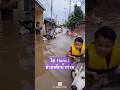 ”ไซฮีโร่“ ว่ายน้ำช่วยเด็กน้ำท่วม..! #dog  #kid  #น้ำท่วม  #funny  #ai