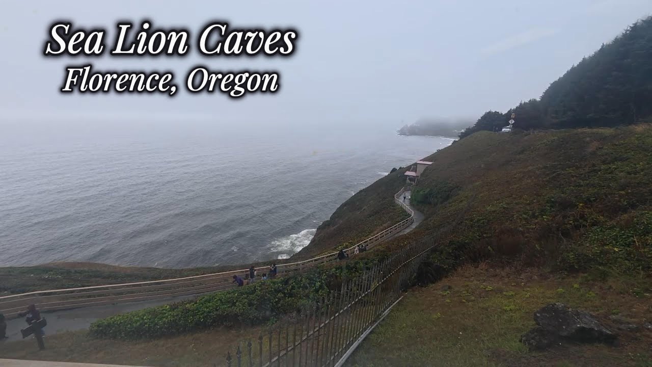 Florence, Oregon: Sea Lion Caves 