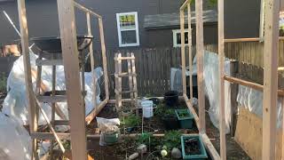 Day 7 greenhouse build