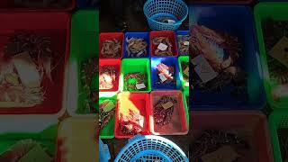 Unbelievable Deals! Witness the Craziest Live Seafood Auction at a Taiwan Fish Market! MP4 3 05 05
