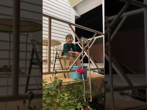 看不懂字的小屁，讓你扛的住!!