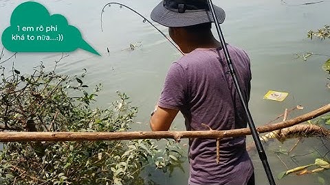 Điểm Câu Cá Đẹp Nhất Sông Bạch Đằng - Bình Dương | Cá Trôi Nướng Giấy Bạc