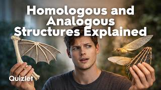 Homologous vs Analogous Structures | Divergent and Convergent Evolution | Biology