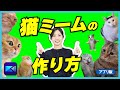 【猫ミーム 作り方】スマホだけで誰でも作れる！猫ミーム・猫マニの作り方