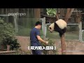 【panda】熊猫  -- 对不起，对不起，乖乖！饲养员也慌了，连忙道歉