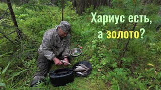 Таёжная речка. Ловлю хариуса. Ищу золото.