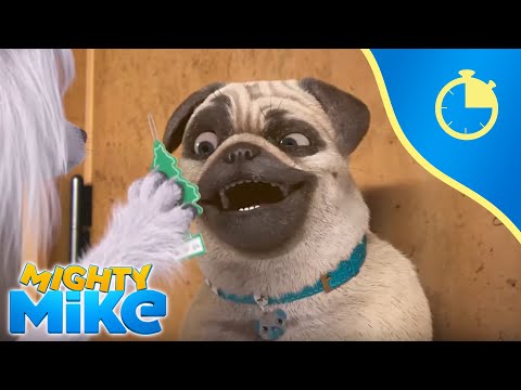 30 minutes of Mighty Mike 🐶😁 // Compilation 3 - Mighty Mike