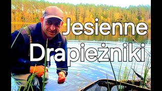 Kabany Odpaliły... Na Spinning Z Brzegu