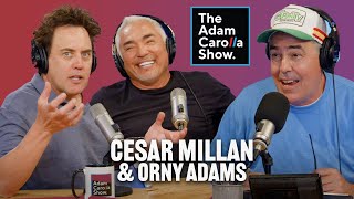 Orny Adams on Courtroom Sketches & Prevagen + Cesar Millan on Dog Behavior & Whistling