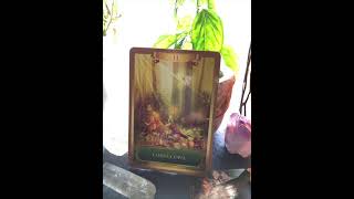 Short Guided Meditation to Reset (includes Holy Fire Reiki and light language)