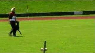 IDC-2008 Afra v.d.Fuggerstadt