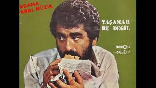 İbrahim Tatlıses - Hepsi Geçer  (Türküola LP ) FULL STEREO Resimi