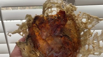 Encaustic Vessel Bowls  - Amanda Pierce