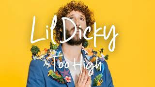 Lil Dicky - Too High ( Slowed & Reverb )