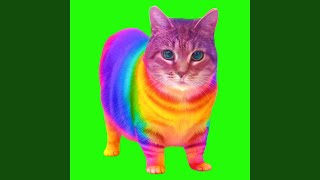 OIIA OIIA RAINBOW CAT