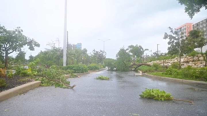 Grand Cayman starts cleaning up the damage from Hurricane Beryl