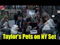 Chaos inside Taylor Swift & Travis Kelce's Secret Filming Session with Olivia, Meredith & new Puppy
