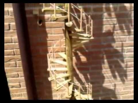 A bologna una scala a chiocciola per il gatto youtube Come costruire una scala a chiocciola