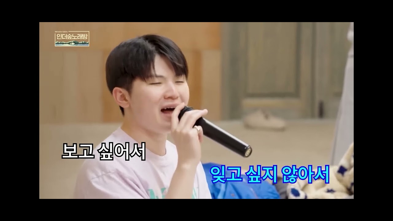 I MISS YOU of NOEL (SEVENTEEN cover kara)