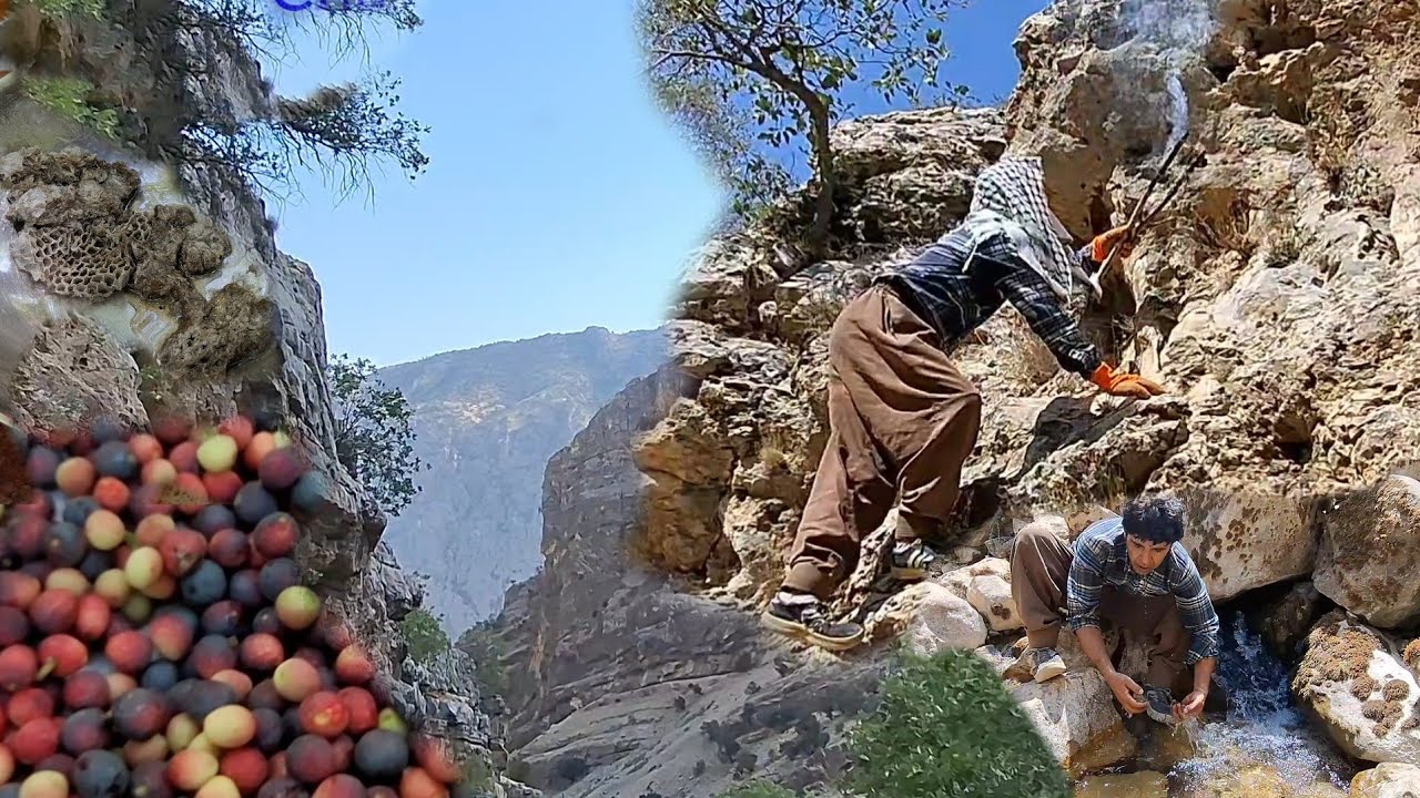 Nomadic Life: A Dangerous Adventure to Find Rare Wild Honey in the Mountains of Iran