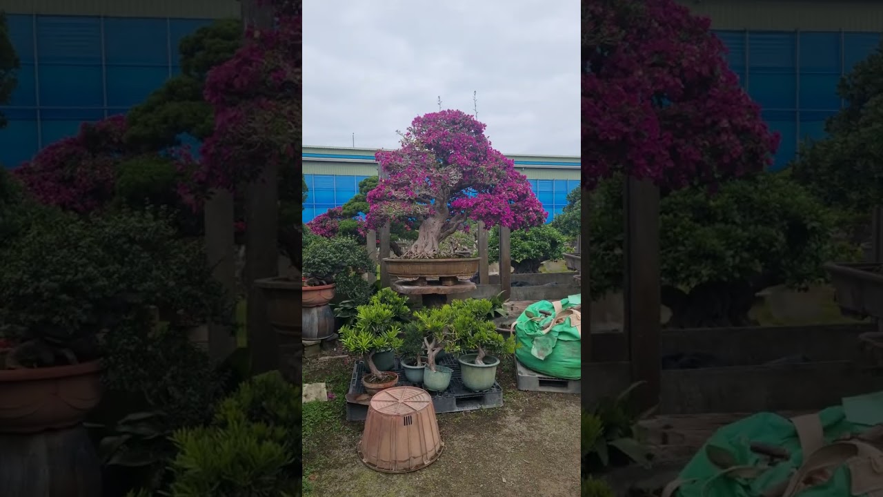 Another day in taiwan