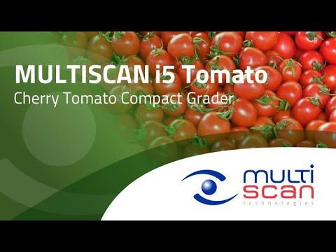 Multiscan i5 Tomato (English)