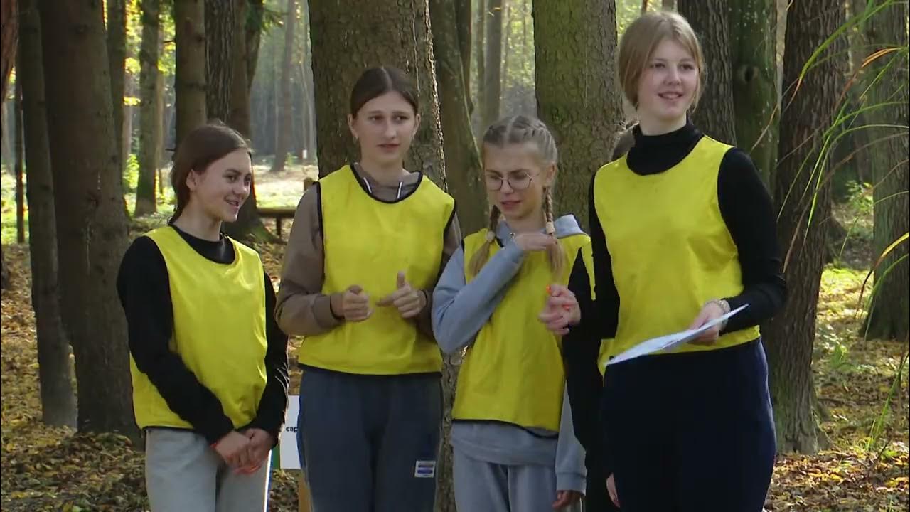 Квест про ліс - YouTube