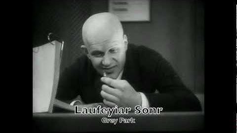 Laufeyiar Sonr - Grey Park