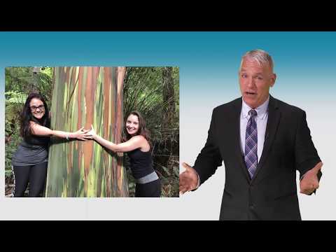 kona-cloud-forest-guided-walking-tours---island-of-hawaii